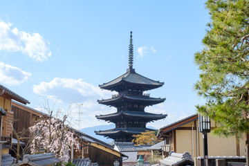 Naklejka premium 八坂の塔 京都祇園