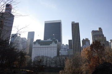Obraz premium セントラルパークから見たビル群