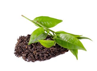  Green tea leaf isolated on white background