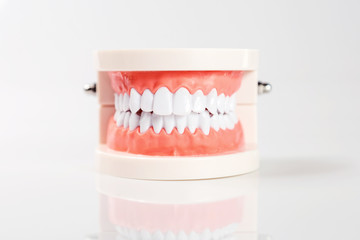 Dental concept healthy equipment tools dental care