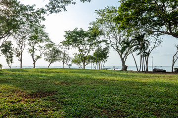 Green lawn in the park next to the sea, Park beside the sea