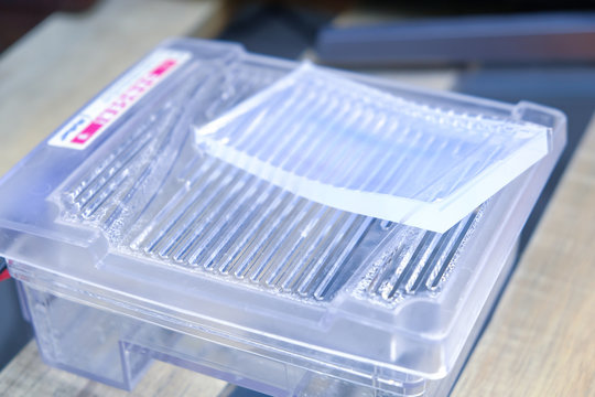 The Science DNA Analysis By PCR-RFLP Of Apis Mellifera By Gel Electrophoresis, PCR Band Of Honey Bees, DNA Sequencing Technique And Gel Electrophoresis.