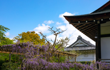 Fototapeta na wymiar Kyoto, the ancient capital of the country