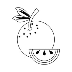 Orange citric fruit cartoon in black and white