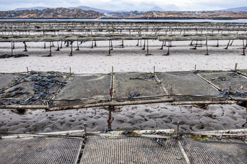 Oyster farming and oyster traps, floating mesh bags by Carrickfinn in County Donegal, Ireland