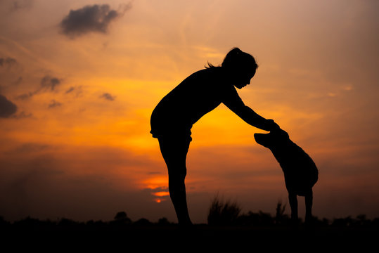Silhouette women playing with dog at sunset - Image