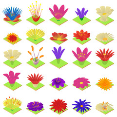 Blossom icons set. Isometric set of 25 blossom vector icons for web isolated on white background