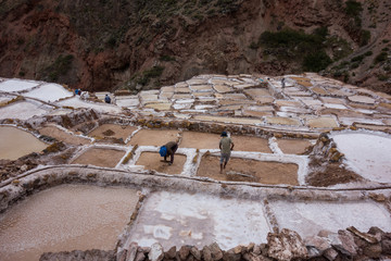 Men working in the pools of the Salinas de Maras, Peruvian famous and traditional salt mine near Cusco