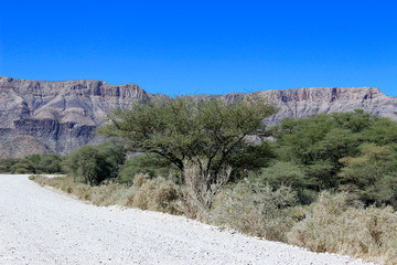Ground road through the desert