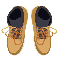 top view shoes, laces