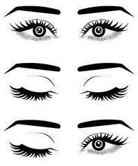 Web. Illustration with woman's eyes, eyelashes and eyebrows. Makeup Look. Tattoo design. Logo for brow bar or lash salon