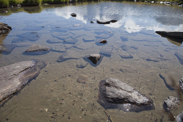 Mountain lake with many frog tadpoles swimming in its clear waters.