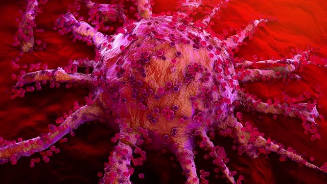 Что находится внутри раковой опухоли Tumor Growth Відеоматеріал - огляд 1,136 Стокові відео і відеоматеріали у формат