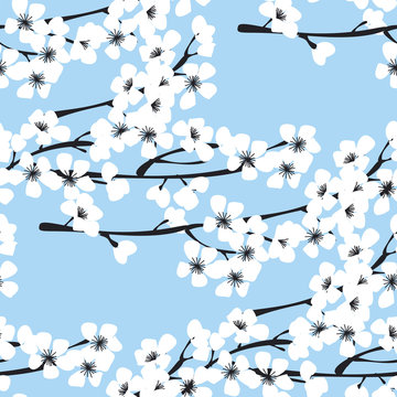 Cherry Blossom Vector Seamless Pattern