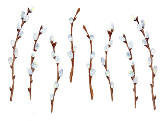 pussy willow illustration  - spring decoration