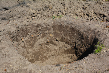 Digging hole in the garden for planting trees.
