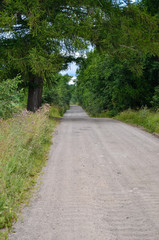 Obraz premium Nature,environment, forests, swamps, fields, rivers