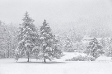 Blizzard landscapes into Piedmont mountains