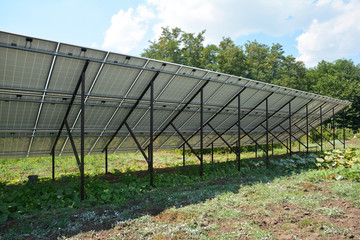 Back side of solar panels plant in the garden