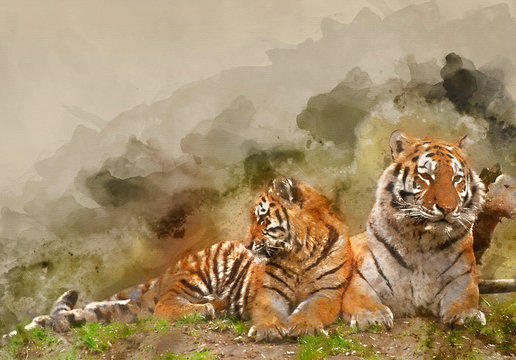Watercolor painting of Beautiful image of tigress relaxing on grassy hill with cub