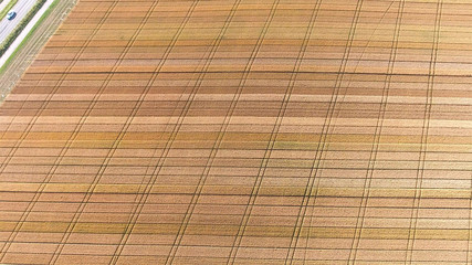 50 Shades of wheat aerial top view