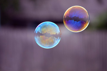 Soap bubbles fly 