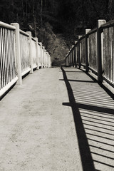 black-and-white photo of bridge
