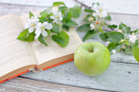 Apple with sprig book