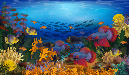 Fototapeta na wymiar Underwater wallpaper with tropical fish and algae, vector illustration