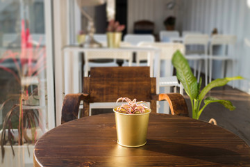 Cargo container cafe with wooden furniture set
