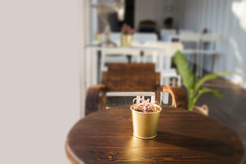 Cargo container cafe with wooden furniture set