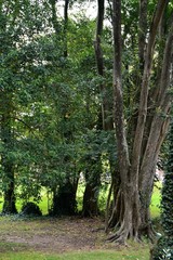 URUGUAY, Castillo del Cerro, Panoramicas,animales, aves, jardines,peces,ornamentos