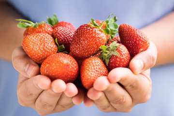 Strawberries held by hands by a girl with pastel blue clothes