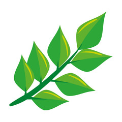 ecology leafs plant icon