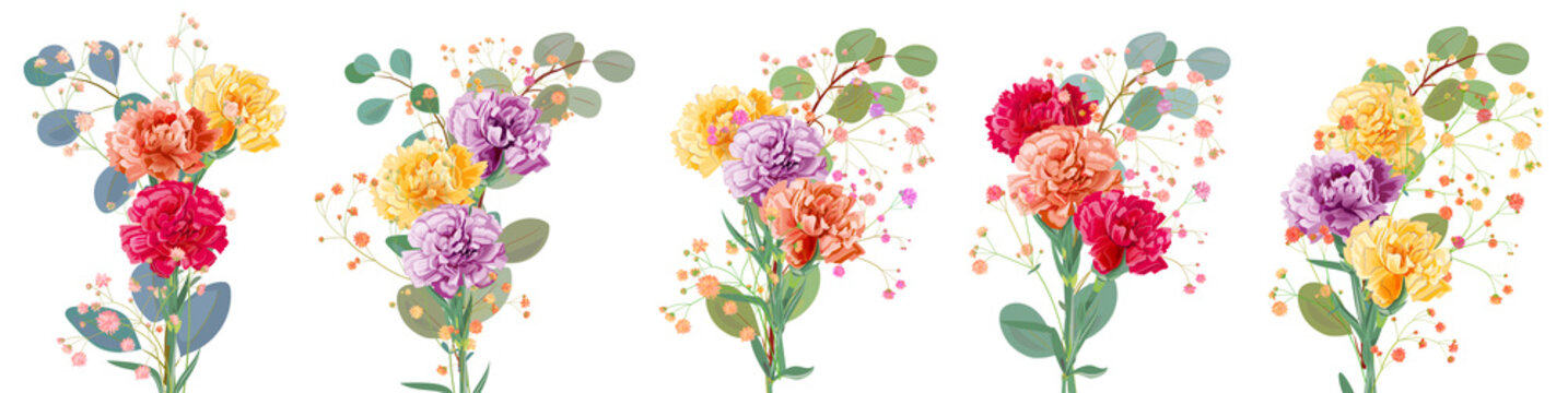 Bouquets carnation schabaud. Purple, yellow, red, orange flowers, twigs gypsophile, eucalyptus, white background. Illustration for Mother's Day, Victory day, watercolor style, panoramic view, vector
