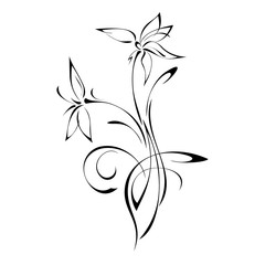 stylized flowers with pointed petals on stem with curls in black lines on white background