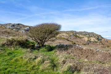 Celtic ruins, stone circles and druids located in the West Cork mountains, Ireland
