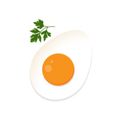  Boiled egg and parsley leaf vector illustration. Egg vector