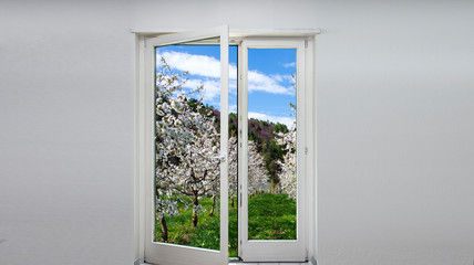 Finestra sui ciliegi in fiore