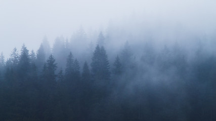 Sunny landscape at the end of winter season