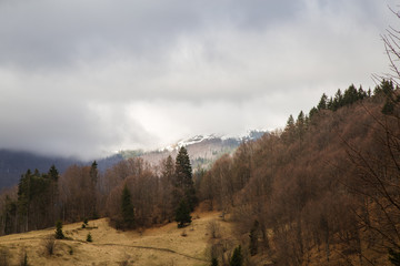 Sunny landscape at the end of winter season
