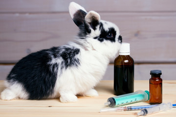 little rabbit on wooden background with a can of vitamins and a vaccine. Vitamin problem, vaccination, treatment