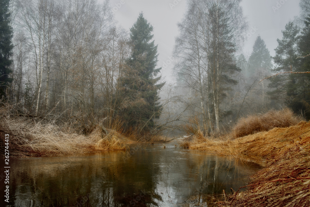 Wall mural Misty landscape with forest and river at morning