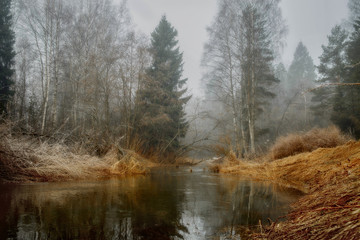 Obraz premium Misty landscape with forest and river at morning