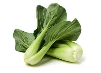 Pok Choi on white background