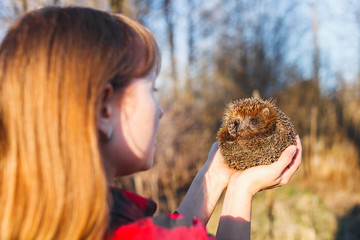 Girl holding a hedgehog on outstretched arms