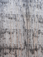 The texture of the fence of the old gray boards at sunset