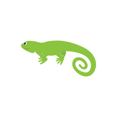 Vector illustration of iguana animal.