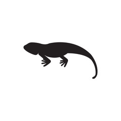 Vector illustration of iguana animal.