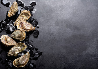 Closed oysters and ice on black background. Healthy sea food, copy space